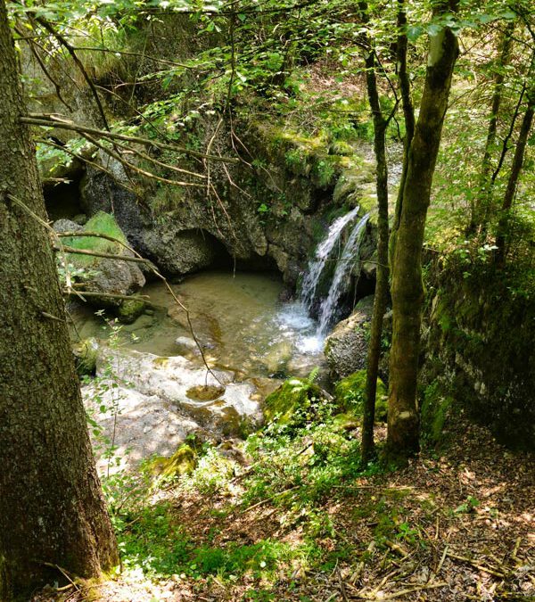 Der Steigbachtobel am Mittag in Immenstadt