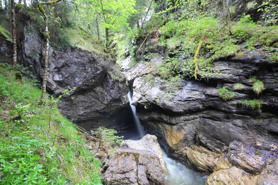 Die Starzlachklamm am Fuße des Grünten